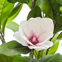 Pianta Artificiale Magnolia in vaso