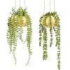 Pianta artificiale Senecio con vaso sospeso