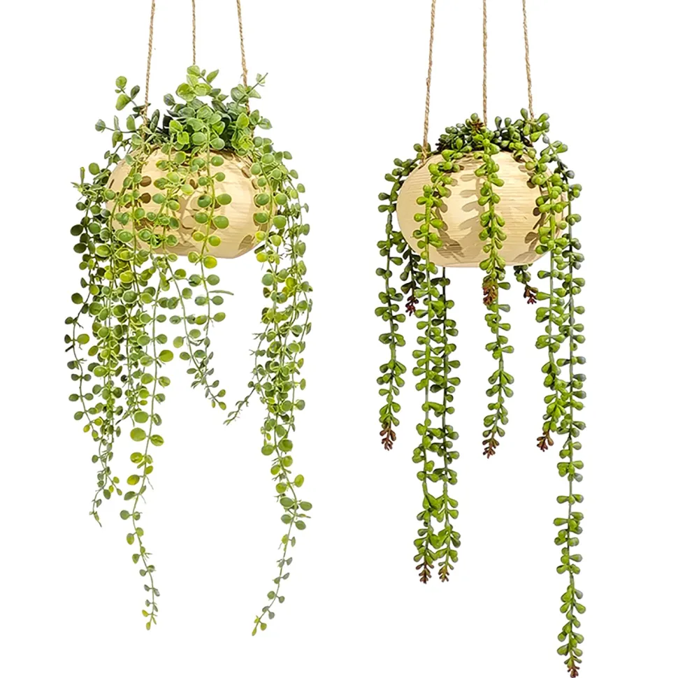 Pianta artificiale Senecio con vaso sospeso