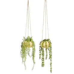 Pianta artificiale Senecio con vaso sospeso