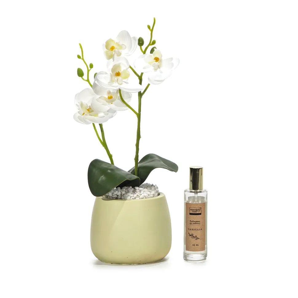 Pianta con Vaso e Spray Profumato 30 ml
