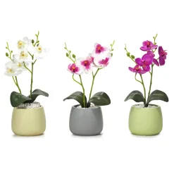 Pianta con Vaso e Spray Profumato 30 ml