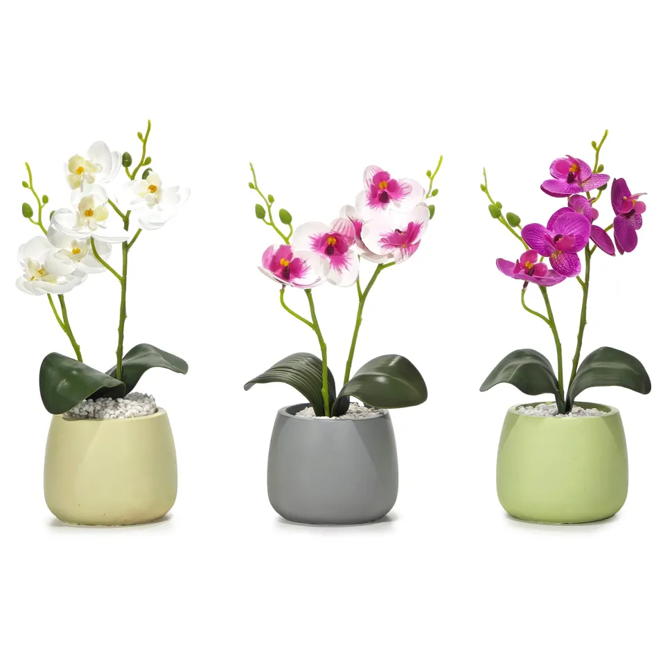 Pianta con Vaso e Spray Profumato 30 ml