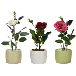 Pianta con Vaso e Spray Profumato 30 ml