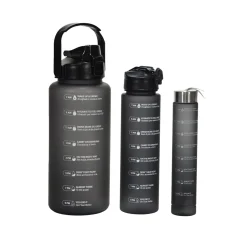 Set 3 Borracce 280 ml/750 ml/2L