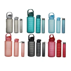 Set 3 Borracce 280 ml/750 ml/2L