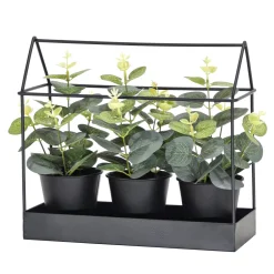 Set 3 Piante Artificiali Eucalipto in Serra Decorativa in Metallo Nero h22x24x10 cm