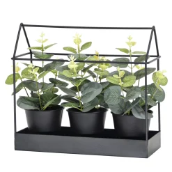 Set 3 Piante Artificiali Eucalipto in Serra Decorativa in Metallo Nero h22x24x10 cm