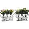 Set 3 Piantine Artificiali in Vasetti di Vetro con Cassetta in Metallo Bianco h24x22x8 cm