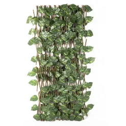 Siepe Artificiale Estensibile con foglie di Epipremnum Aureum Verde h100x190 cm