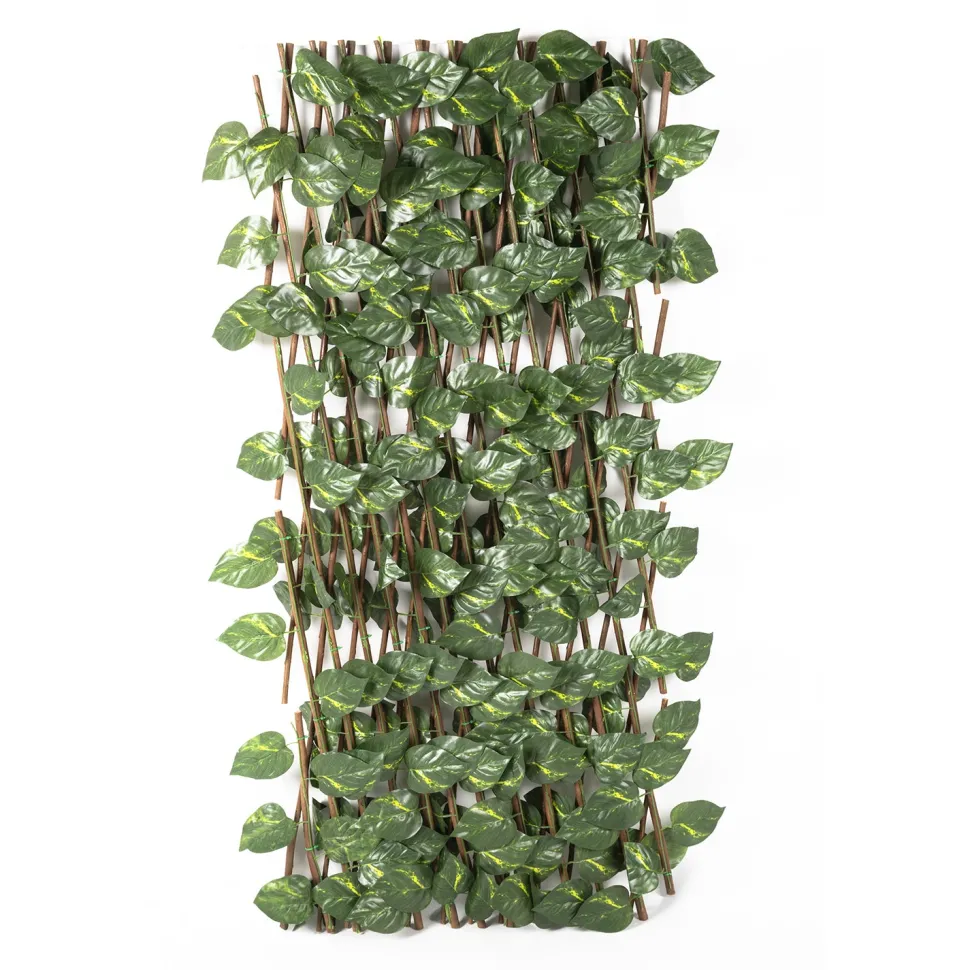 Siepe Artificiale Estensibile con foglie di Epipremnum Aureum Verde h100x190 cm