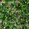 Siepe Artificiale Estensibile Foglie di Mirto Cerato h90x180 cm