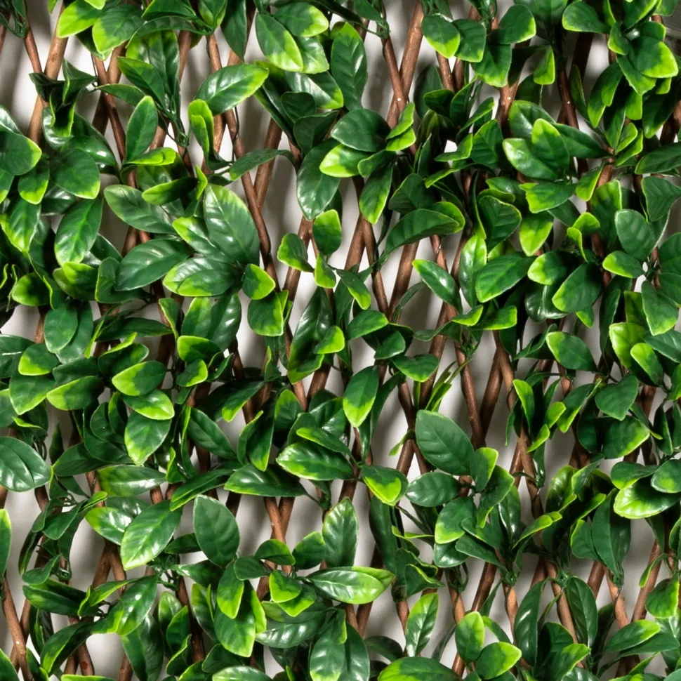 Siepe Artificiale Estensibile Foglie di Mirto Cerato h90x180 cm