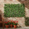 Siepe Artificiale Estensibile con foglie di Schefflera Verde h28x280 cm
