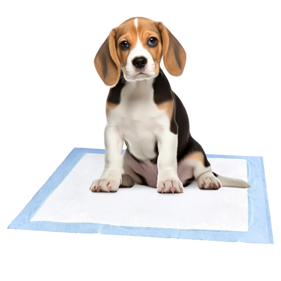Tappetini Assorbenti MyPetPad 60x60 cm