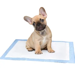 Tappetini Assorbenti MyPetPad 60x90 cm