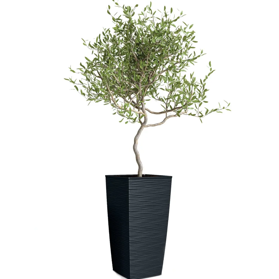 Vaso Aurora Antracite con Inserto