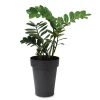 Vaso Melrose Flower Pot Alto Antracite
