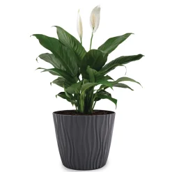 Vaso Sahara Flower Pot Antracite