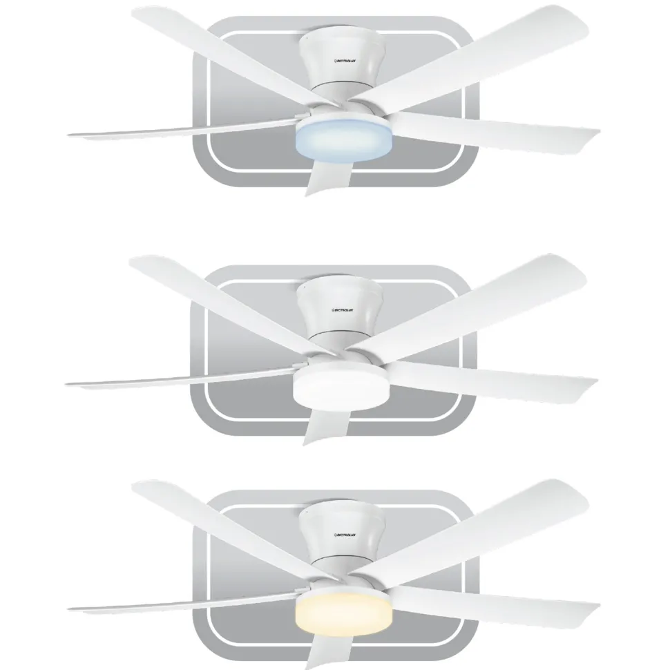 Ventilatore da Soffitto con Plafoniera LED Winged-Up